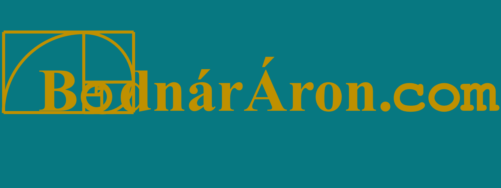 bodnararon.com